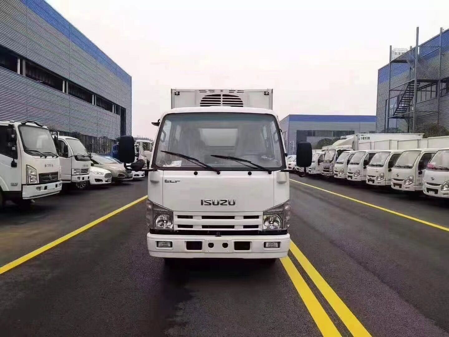 國(guó)六慶鈴五十鈴雙排冷藏車