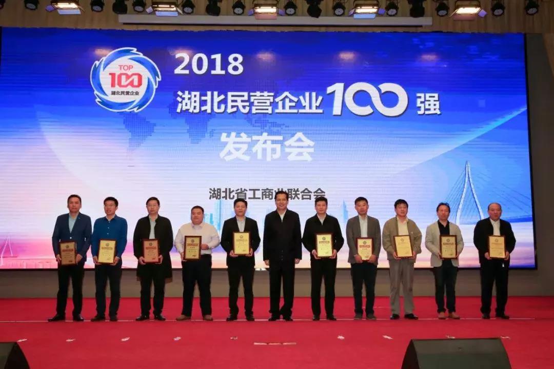 湖北民營(yíng)企業(yè)100強(qiáng)